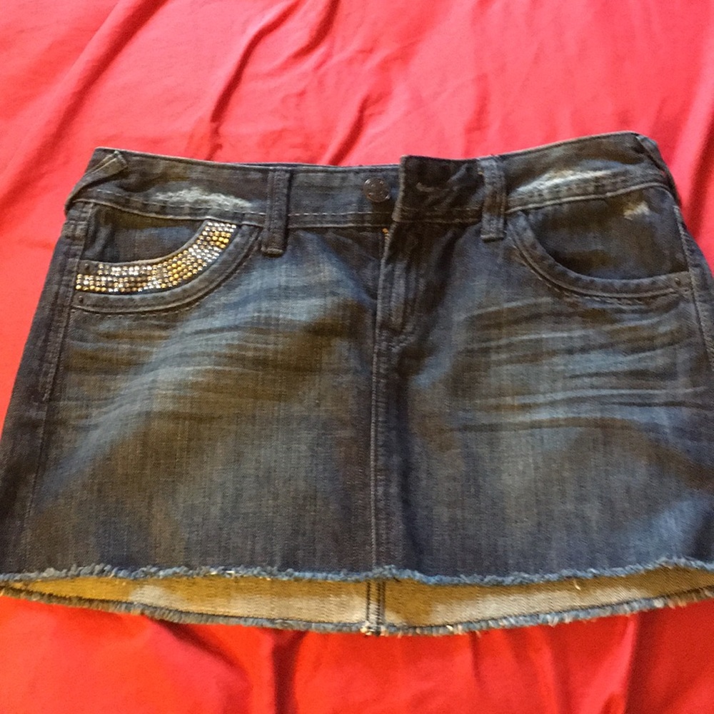 Express skirt
